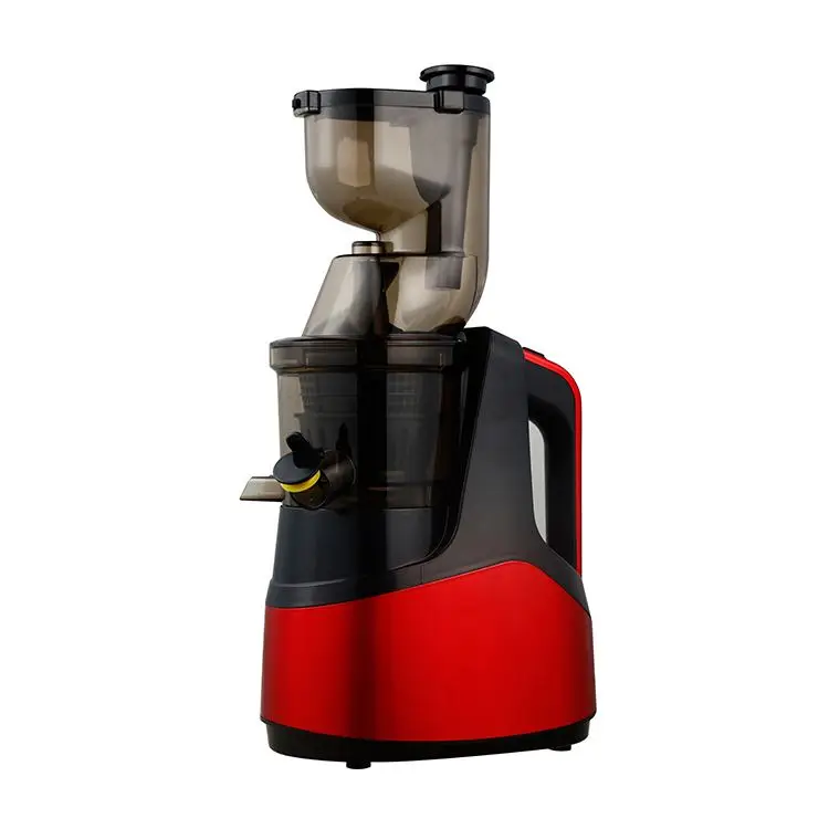  Slow Juicer With Stainless Steel Filter Combined Ice Cream to Extract Fruits and
