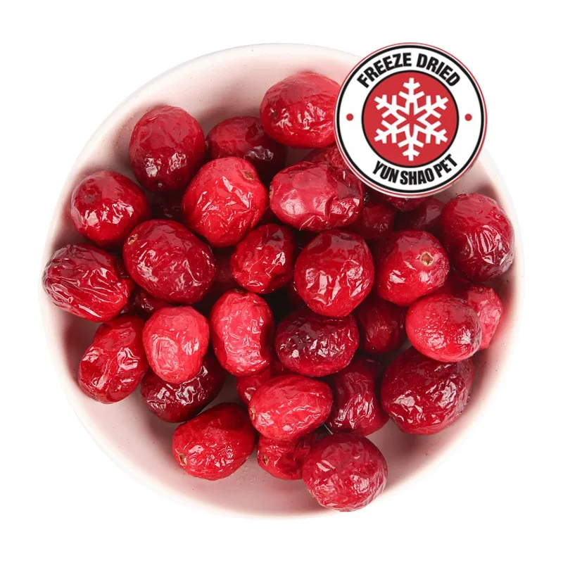 OEM  100% natural freeze drying fruit vegan dog treat MANGO wholesale in bulk and OEM packing