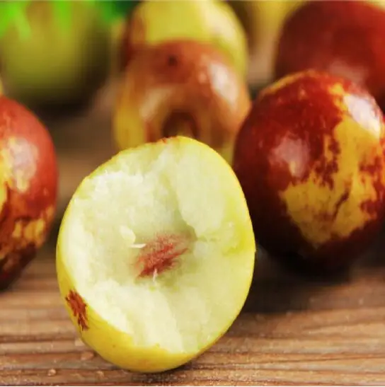 
Export grade fresh juicy winter jujube from china 
