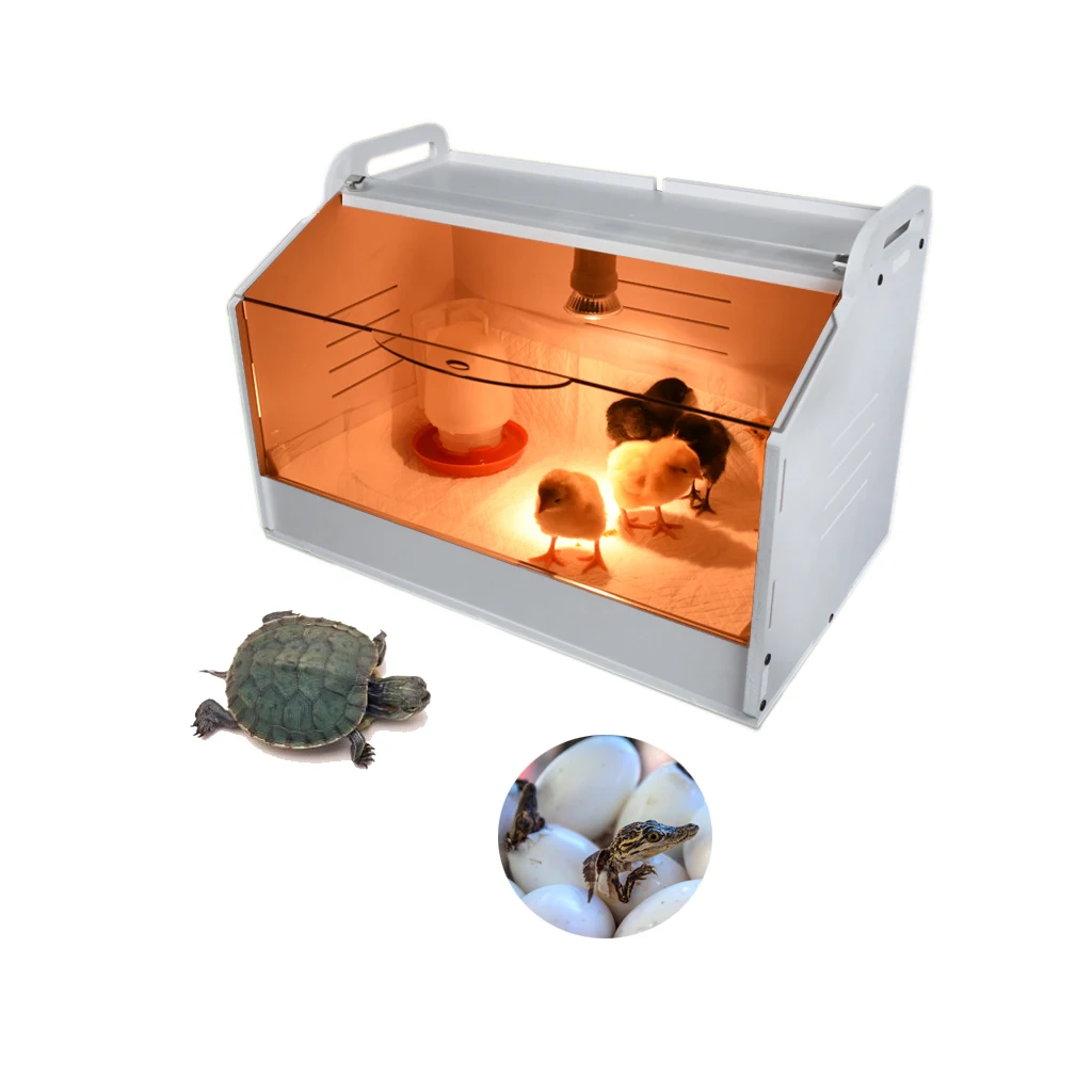 crocodile turtle hatching boxes chicks brooder HJ-YC001