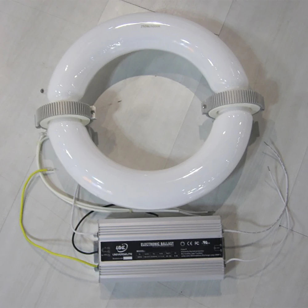 electromagnetic low frequency induction lamp 300w