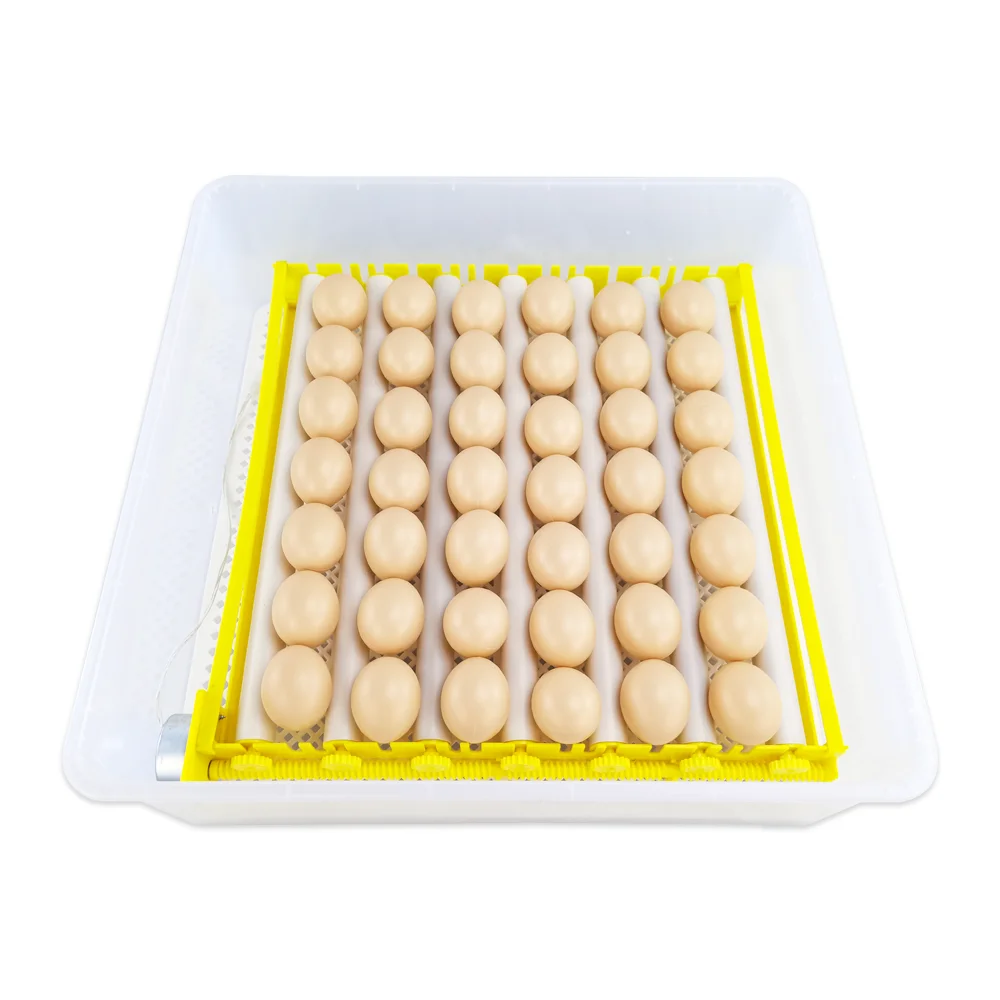 24 chicken solar energy mini egg incubator dual power automatic eggs hatching machine