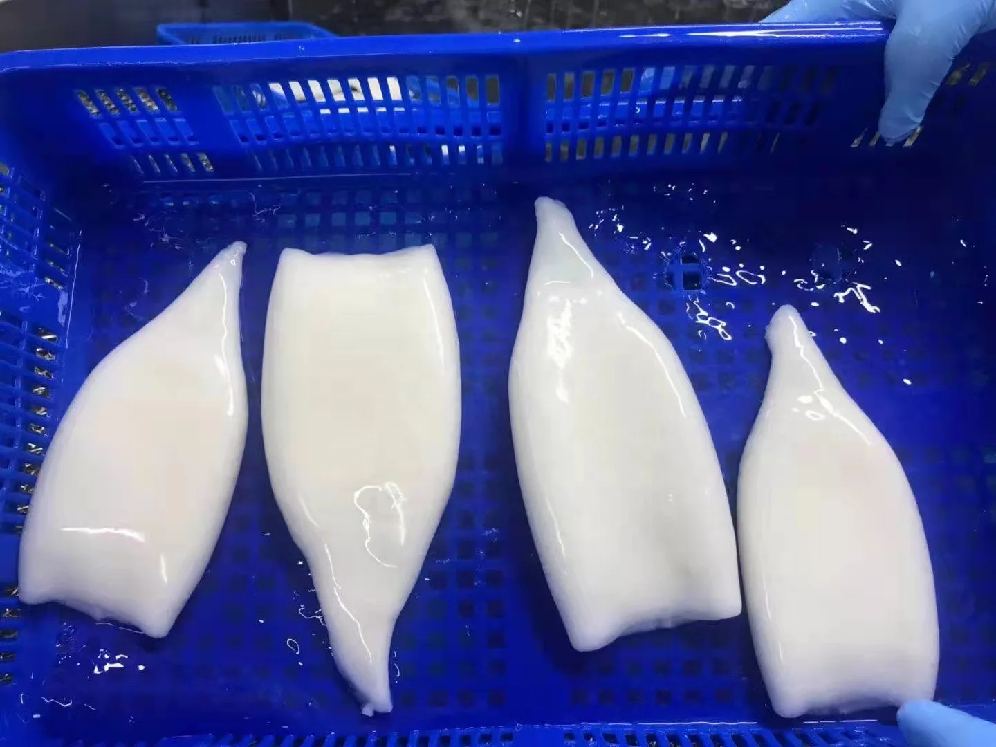 Squid Tube Squid U4 High Quality Eu Standard U3 U5 U10 Clean White Frozen Giant Squid Tube U5