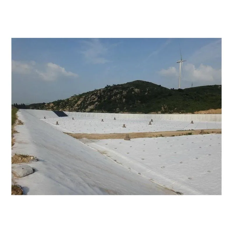 Factory Price HDPE Geomembrane 1mm 2mm Pond Liner/Dam Liner/Biodigester/Landfill Geomembranas High Quality Geotextiles for Sale