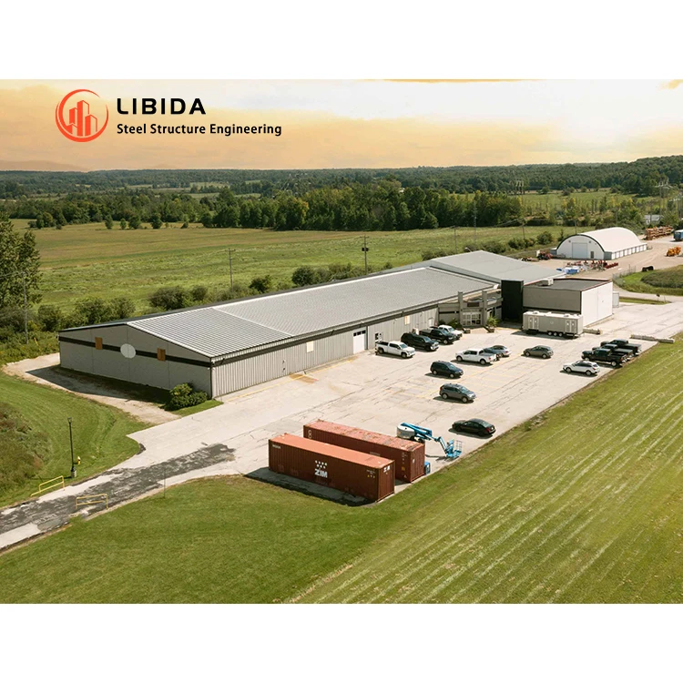 Fast Install Light Steel Frame Pre-Engineered Steel Structure Poultry House Farm Warehouse Shed Building