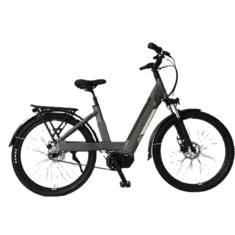 New Ce Certification Hot Seller 250w E Bicycle Kits 2 Seat Electric Bike bicycle electric bike eu warehouse europe