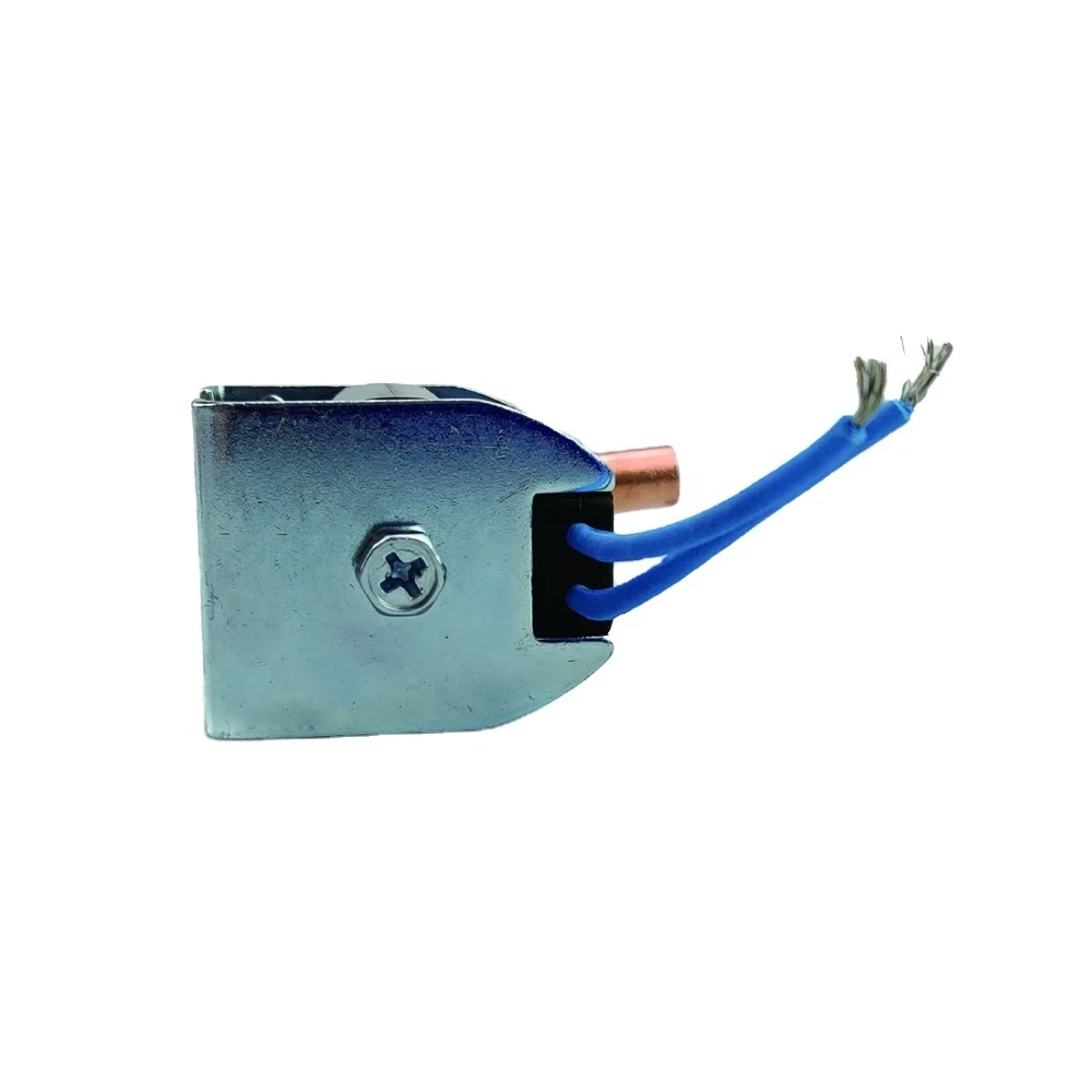 Duling Micro Solenoid Valve AC 220V 110V DC 12V 24V Liquid Line Electric Mini Solenoid Valve