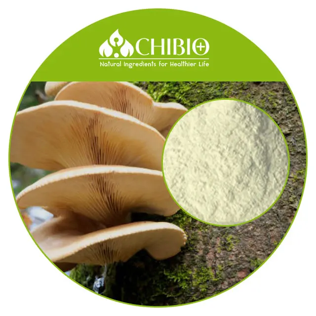 Kosher Ingredients Mushroom Chitosan Powder Raw Material Supplier