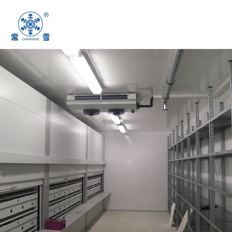 freezer chiller and ice cube and ice block storage cold room