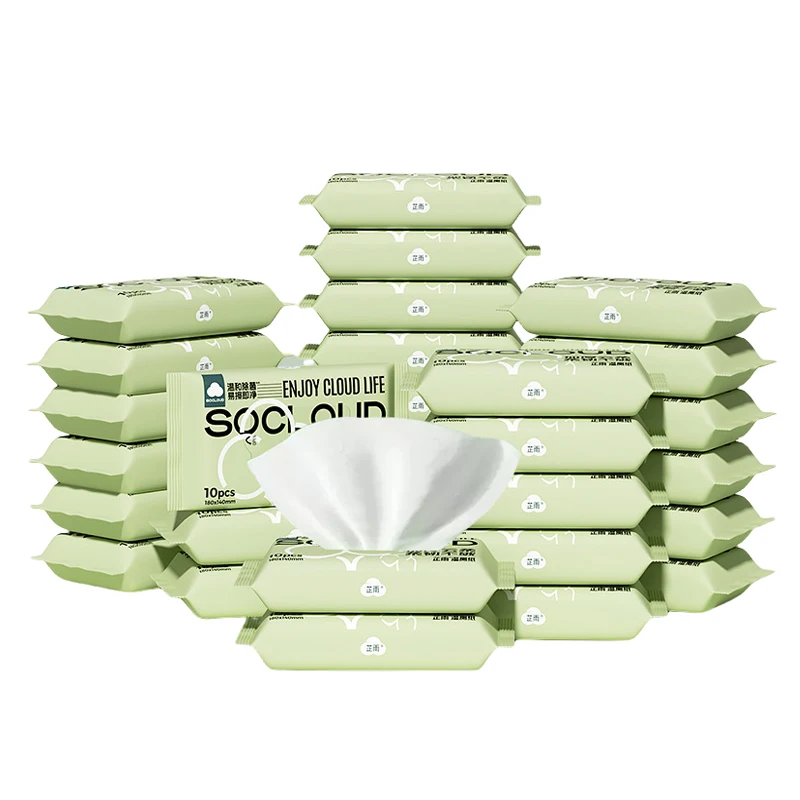 Factory Custom Disposable Baby Adult Antibacterial Cleaning Wet Wipes Flushable Biodegradable Bathroom Toilet Wet Wipes