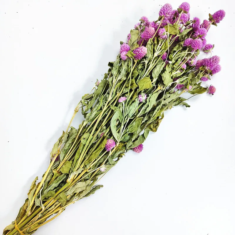 Органические семена Gomphrena Globosa фиолетовые глобус амарант для украшения тортов крафтовые гарниры приготовления чая