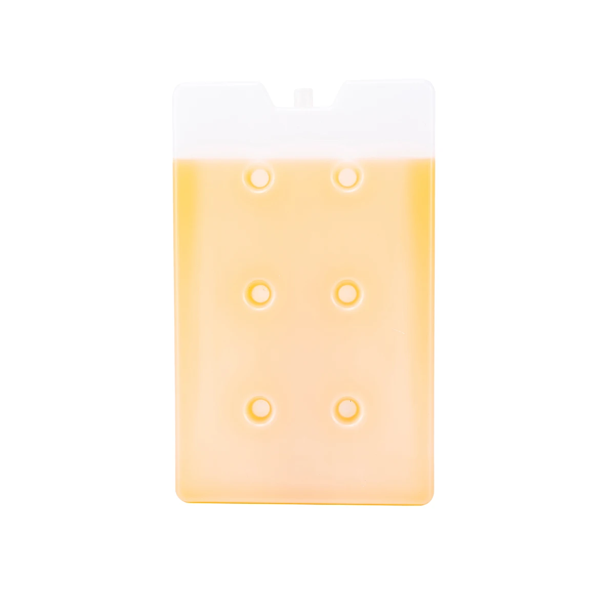 2021 Best Selling Medical Ice Box Cooler Freezer for Cold Storage Large Hard Plastic Ice Brick