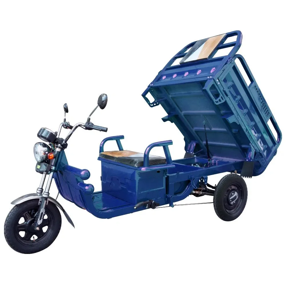 Best Price Electric Cargo Tricycle for Adults with Big Wheel 60v Central Motor Integrated 20ah Battery