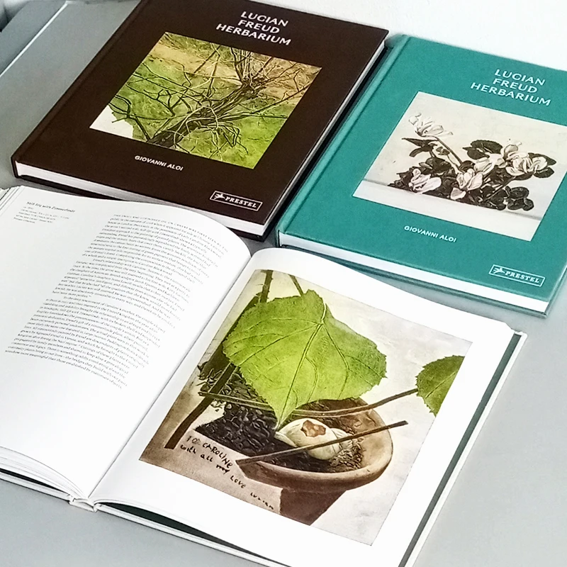 Публикация в Китае, изображение для взрослых, цветная печать на заказ, твердый переплет, журнал для печати книг для взрослых