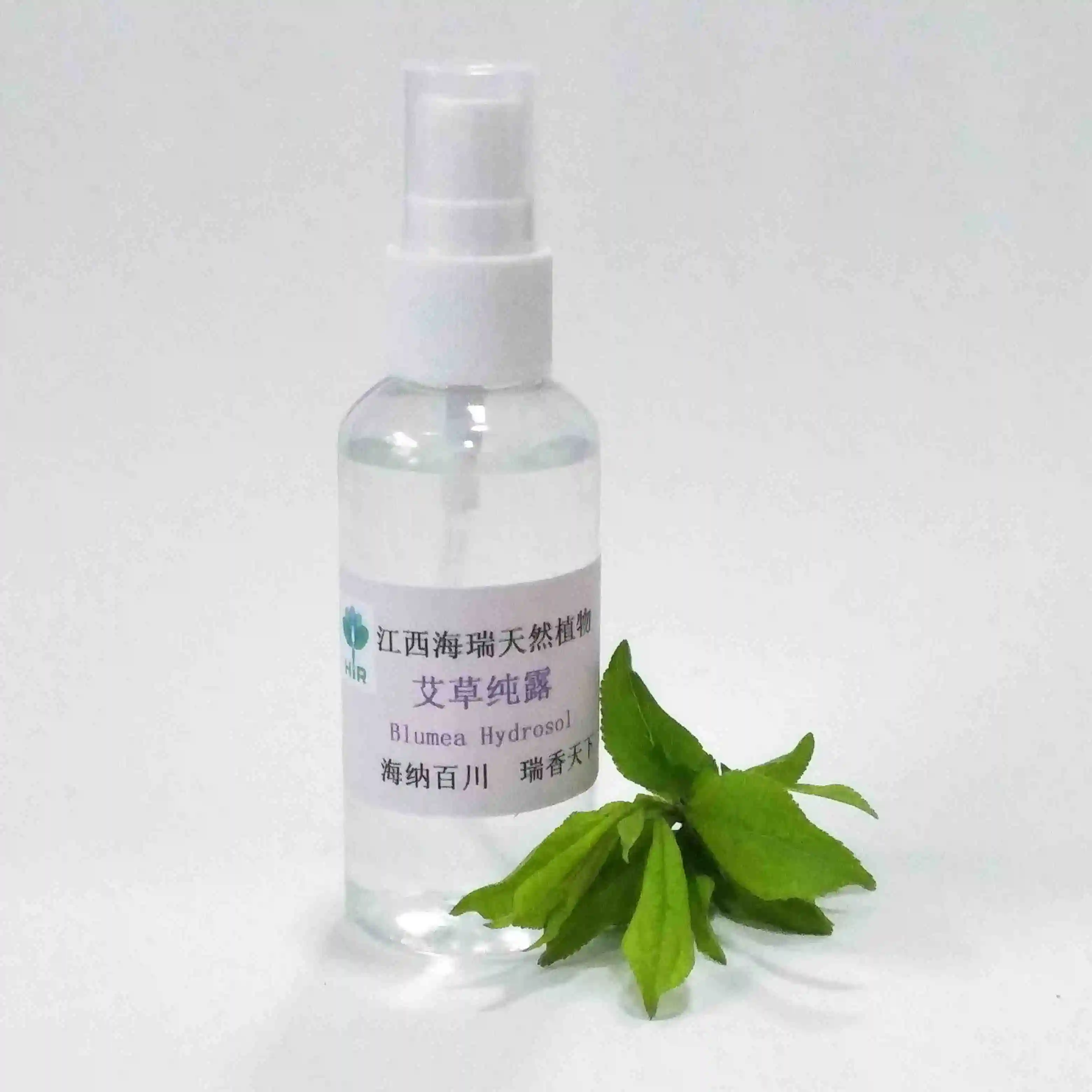 100% pure essential oil extract Mugwort leaf hydrosol blumea hydrosol