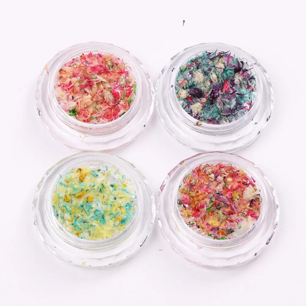 3D Colorful Dried Flower Petal Nails Art Decoration Mixed Color Natural Dry Flower Nail Charms