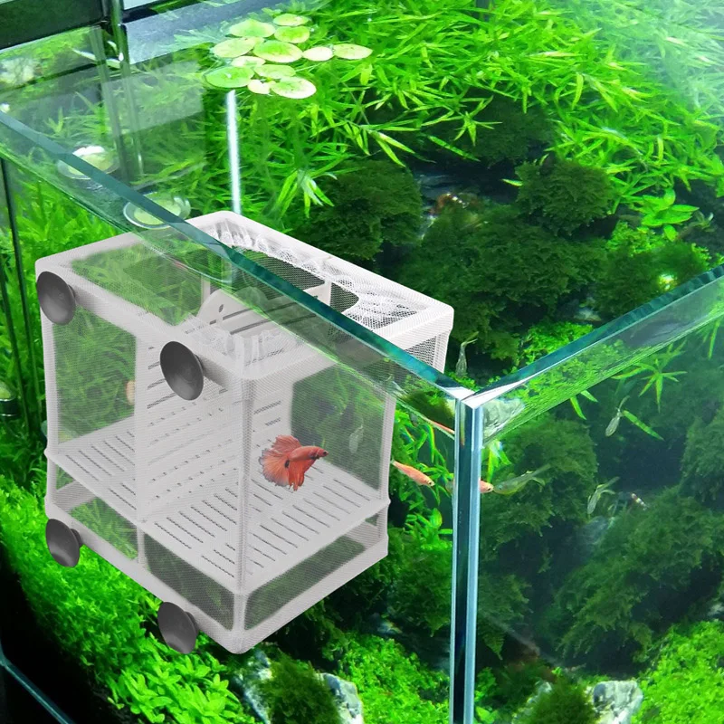 Aquarium Fish Breeding Breeder Box Baby Fish Hatchery Isolation Net Fish Tank Incubator Box Hanging Aquarium Accessory Supplies