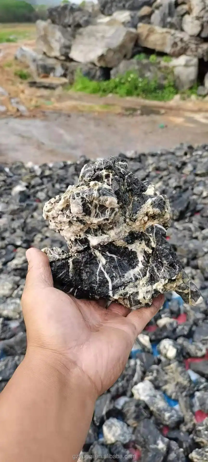  (5)
