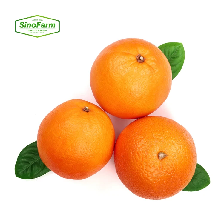 Fresh citrus fruit from China Fresh Mandarin orange for sale
