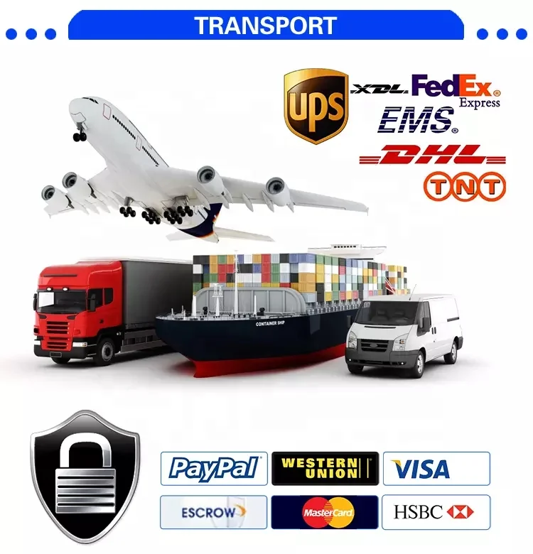 UPS DHL FEDEX TNT EMS express shipping forwarder china to Algeria Libya