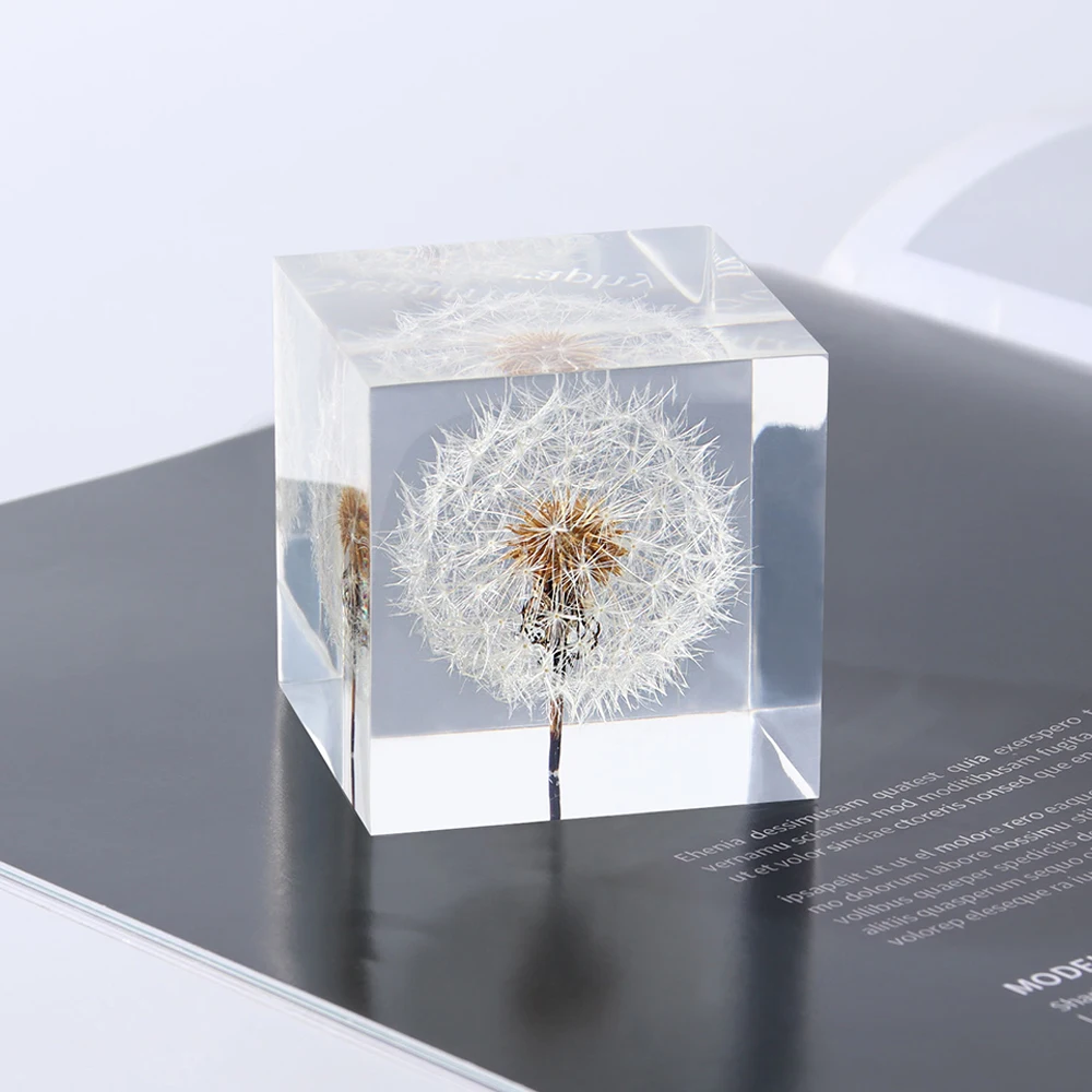 Factory wholesale resin crafts epoxy crystal clear real Dandelion paperweight resin flower paperweight