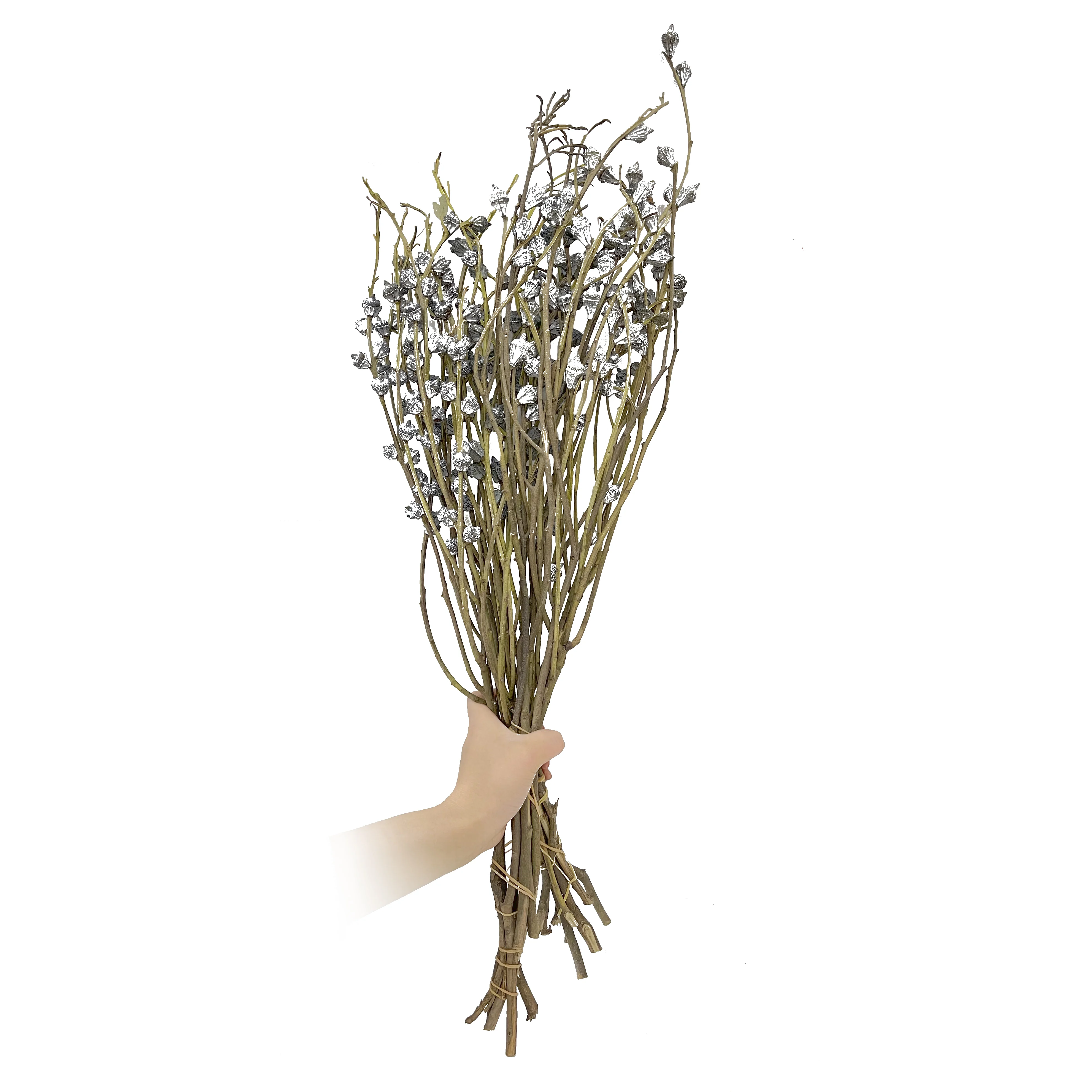 Natural Real Dried Plants And Flowers Bouquet Decor Blue Eucalyptus Fruit