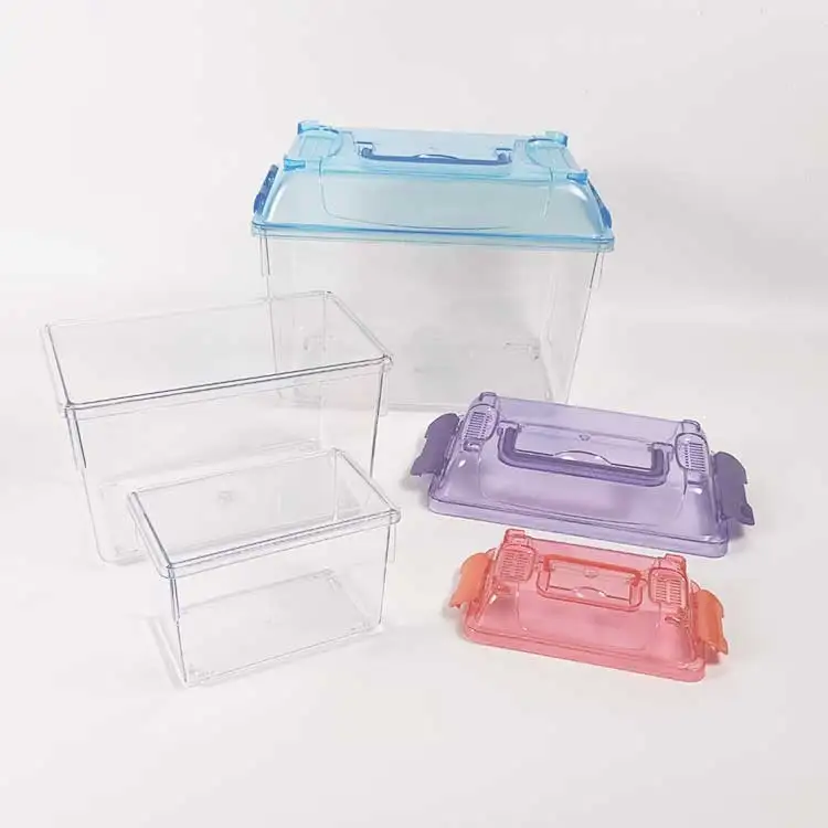 LOW MOQ Acrylic Transparent Reptile Tank Pet Feeding Box Portable Plastic Insect Terrarium  For Unicorn Beetle Baby Lizard