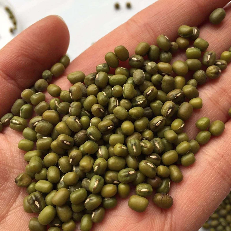 
Professional Manufactory Supply Dry Green Mung Beans Moong Dal 