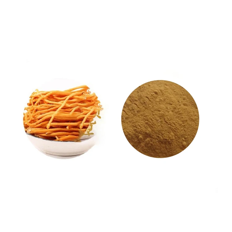 
Competitive Price Cordyceps Flowers Extract Powder 