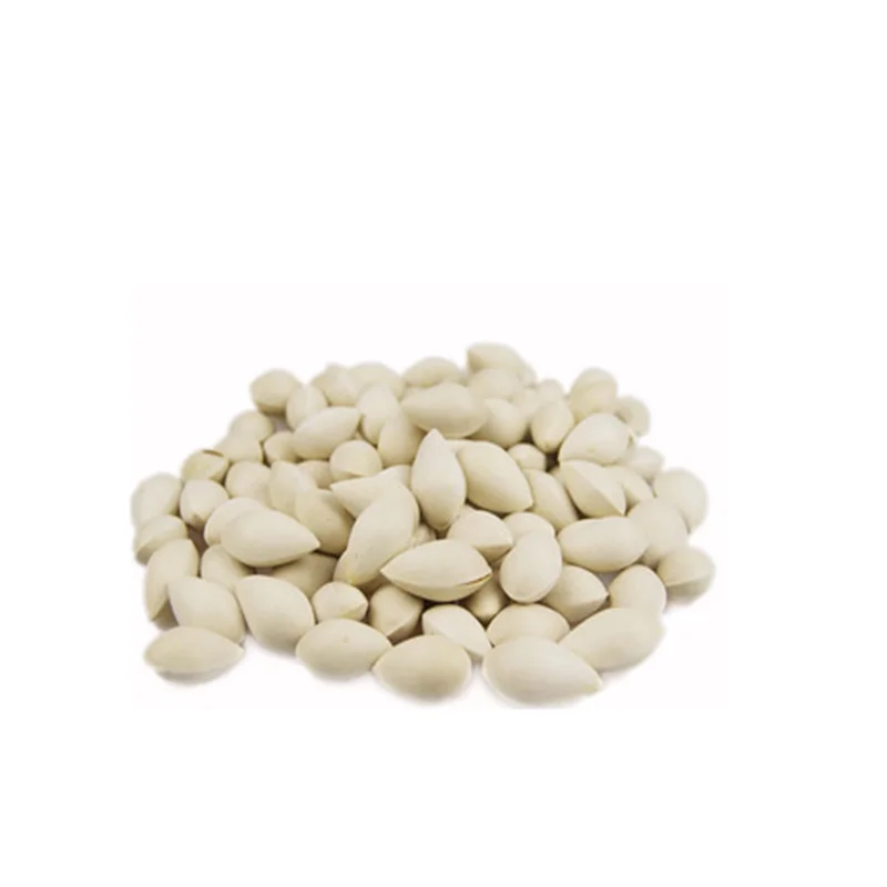 Wholesale   Best Grade  Good Quality Bulk Organic Dried Ginkgo Nuts 100% Pure Premium Quality