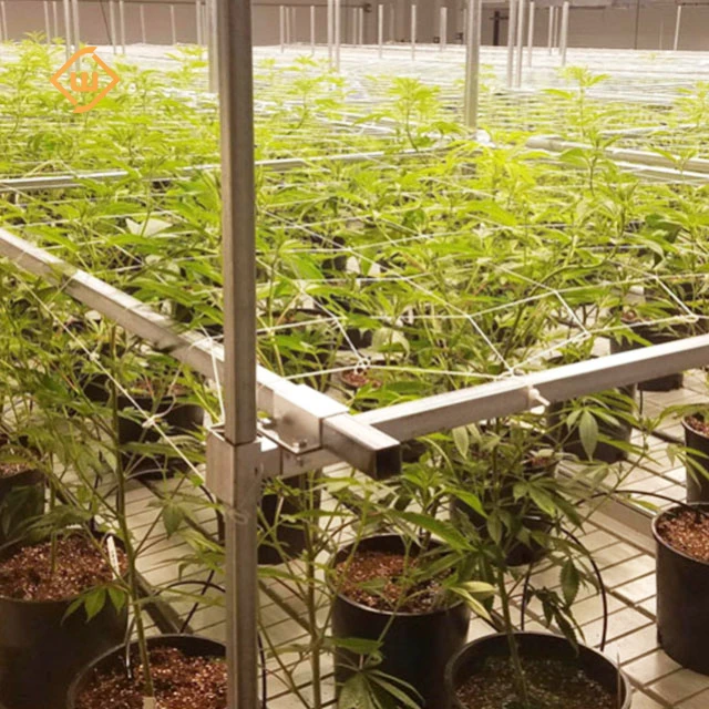 White 4x8 ABS Plastic Hydroponic Fodder Flood Grow Trays for  commercial greenhouse benches