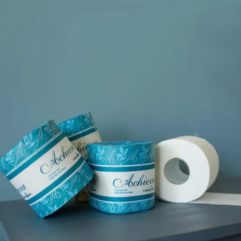 100% Bamboo Pulp Toilet Paper 2ply 300/400/500sheets Biodegradable Premium Quality