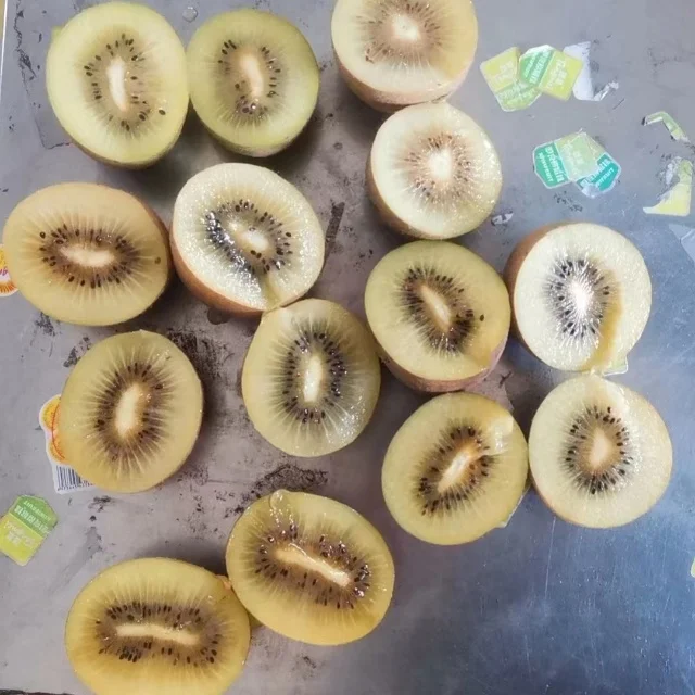 Premium Fresh Nutritious Green Kiwifruit High Quality Kiwi Fruits