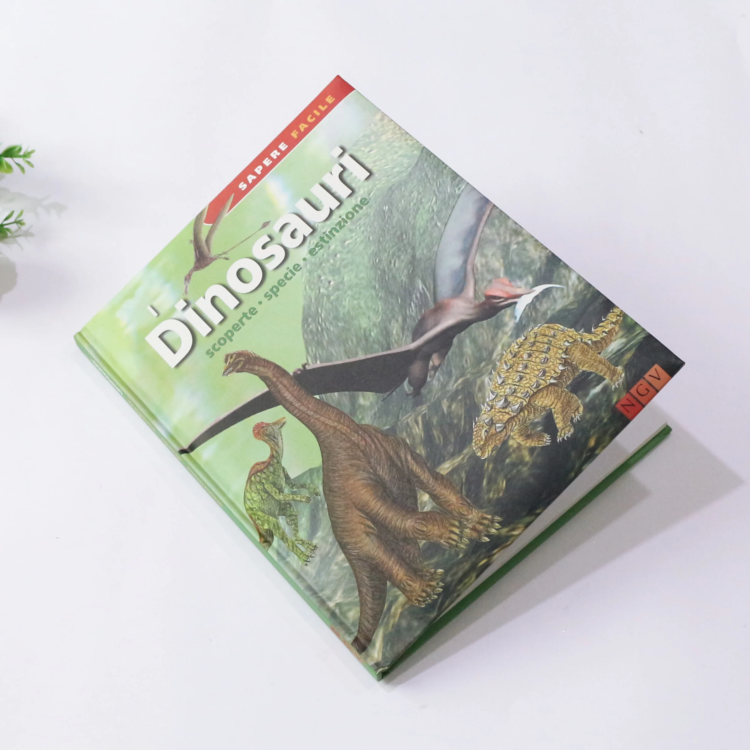 Профессиональные производители индивидуальных полноцветных детских книг