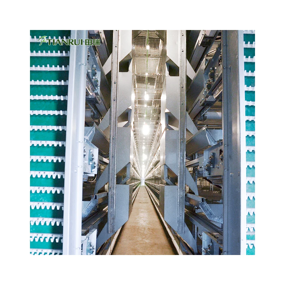 Индивидуальная линия подачи сковородок для птицефермы, напольная трубка для домов бройлеров, цепной конвейер, автоматическая система подачи куриц