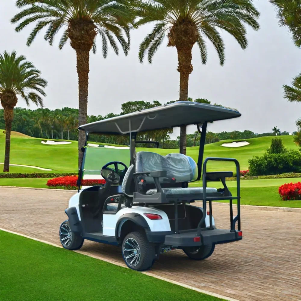 TongCai dynamic sporty enthusiastic versatile and lively four-seater electric golf buggy