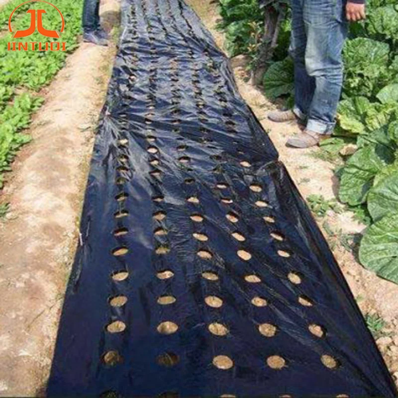 Plastic film agricultural land is agricultural planting mulch perforated mulch