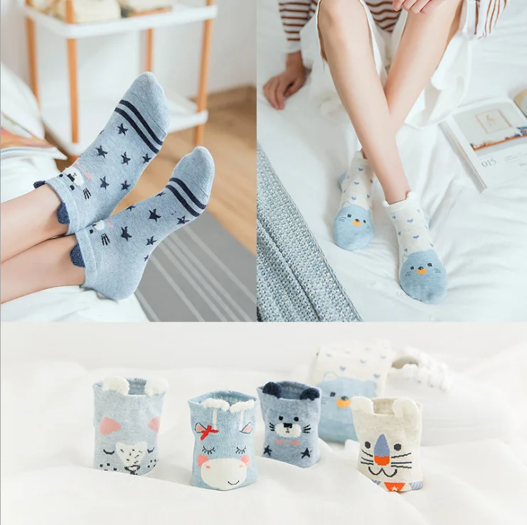 8521705499_371156106