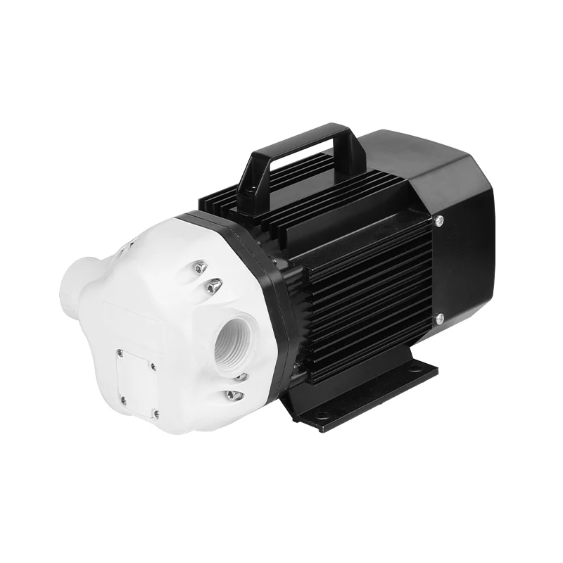 Cavitt Automatic Factory Outlet 12V/24V Explosion-proof Portable Fuel Pump 500W Electric Adblue Pump Diaphragm Pump