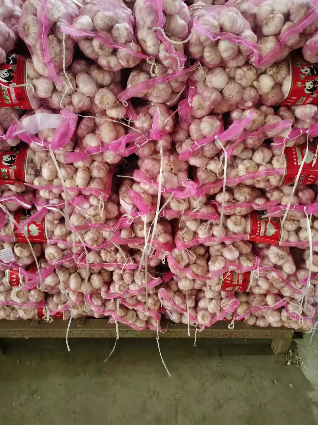 fresh garlic 10kg PACKAGE wholesale export