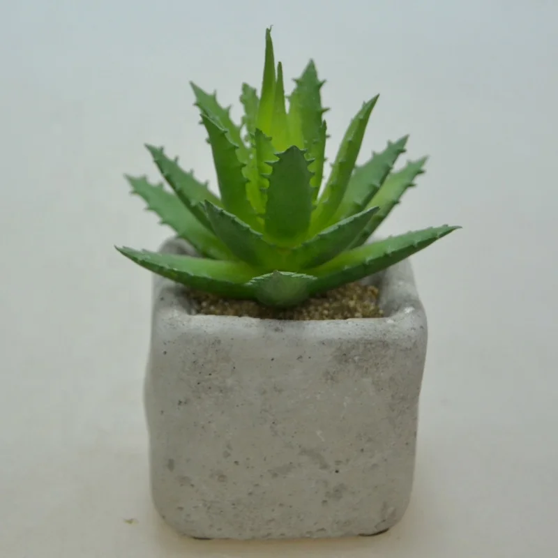 Classic Green Indoor Decoration Small Potted Artificial Succulent Plants Custom