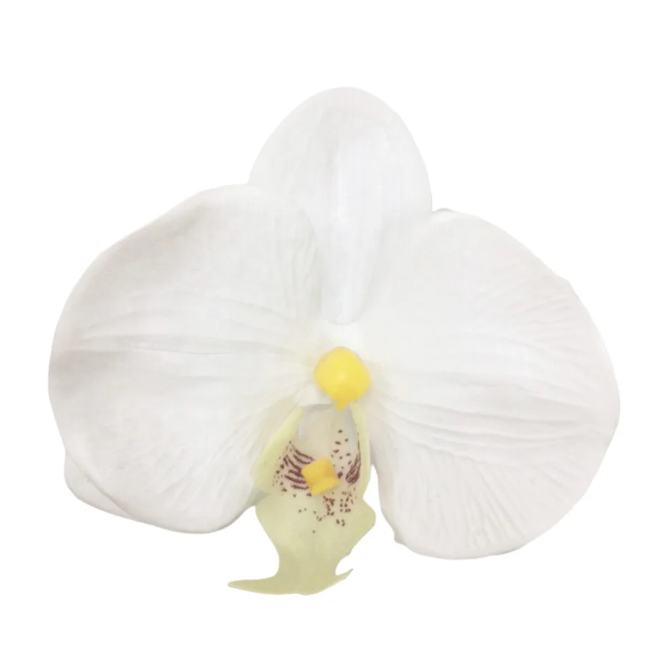 Orchids artificial flowers with pot plastic orchid pots phalaenopsis orchid plants for decor