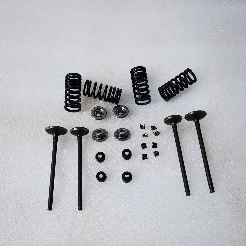 valves and spring kit for Daytona 190 or 212 4 valves engines