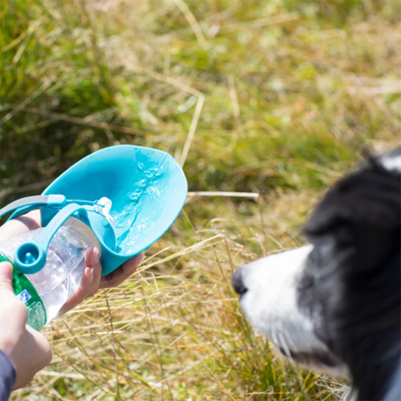 Spot wholesale 580ml soft leaf shape silicone lid pet travel portable dog drinking water bottle