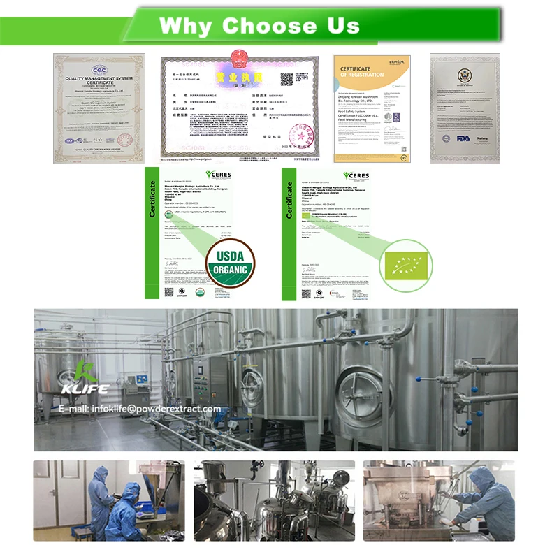 Nano Turmeric Extract  nano Curcumin powder turmeric curcumin powder liposome