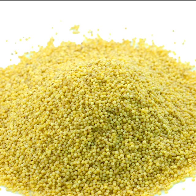 High Grade Wholesale New Crop bulk hulled yellow millet on sale