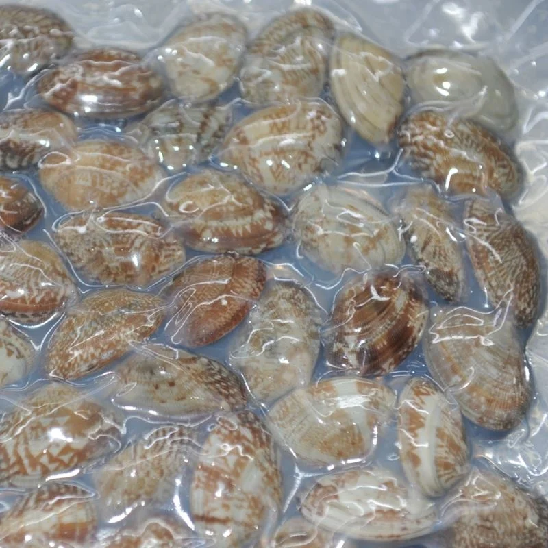 
Vacuum-Packed Frozen Fresh Cooked Yellow Clam Meat Cockle 