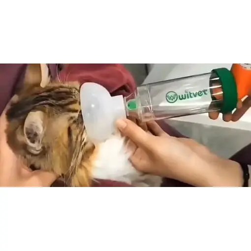 Cat Puppy Vet Pet Animal Aerosol Chamber Asthma Inhaler Spacer For Pets