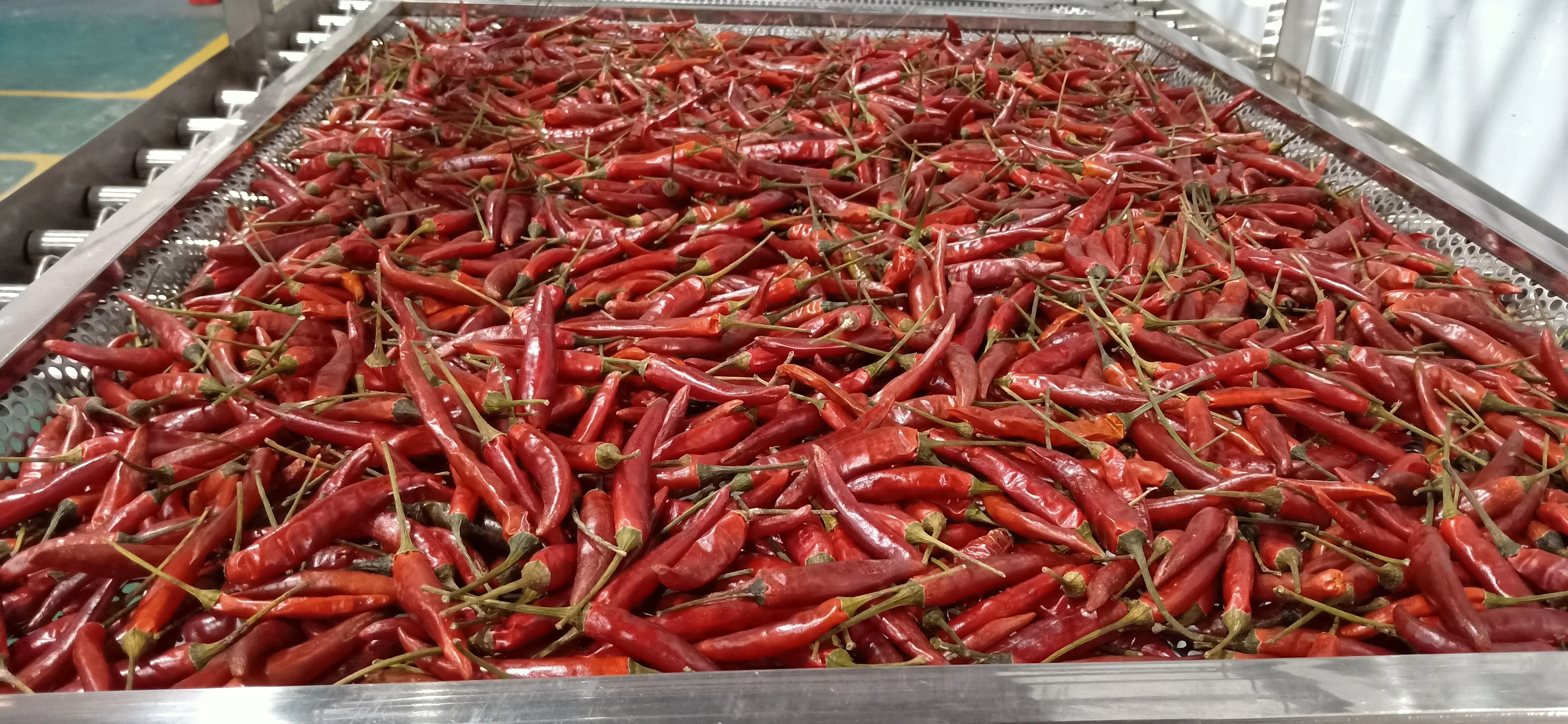 Промышленный тепловой насос из нержавеющей стали, сушилка для обезвоживания томатов, картофеля, маниоки