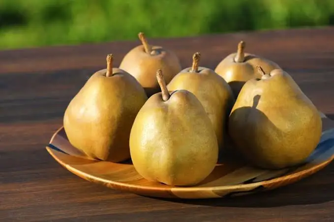 Japanese La France Pear Fresh Fruit For Wholesale